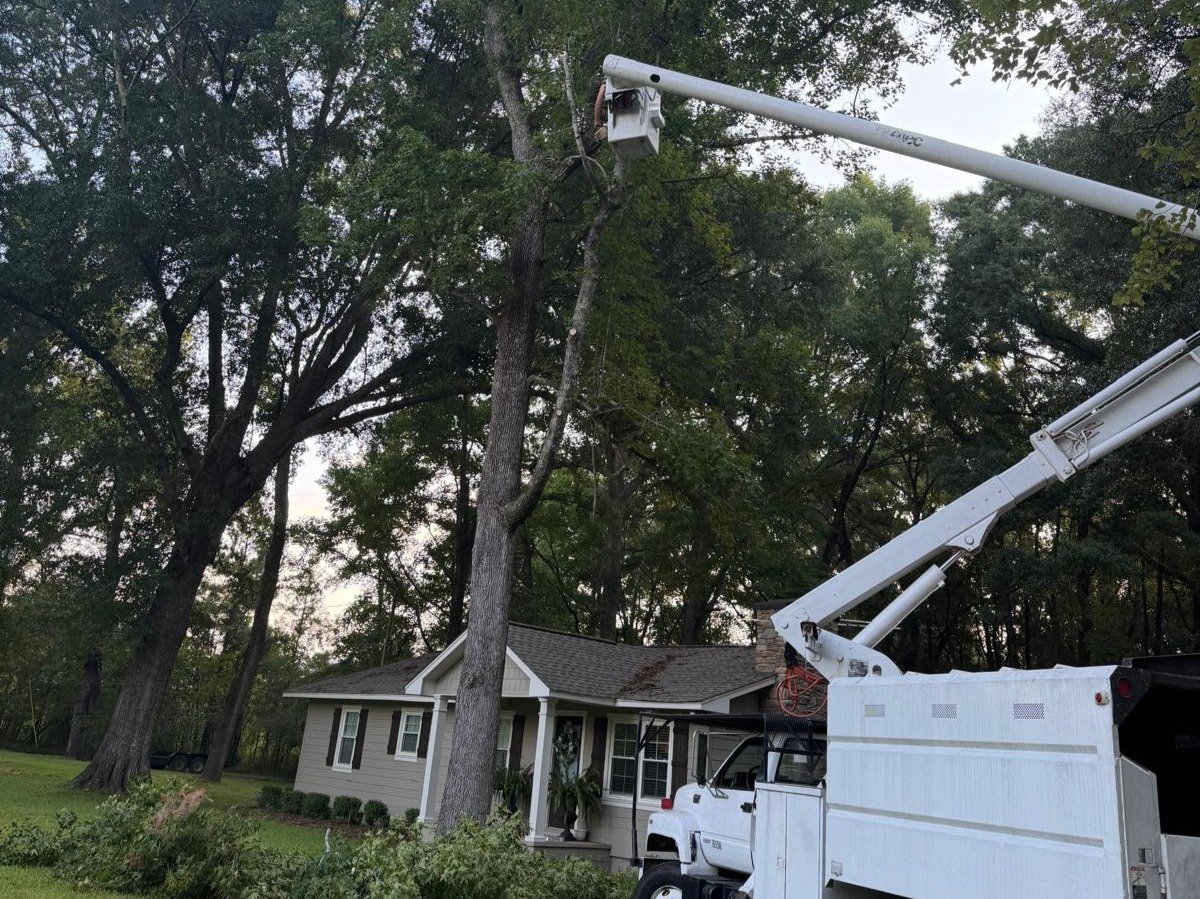 El Costeño Tree Service LLC